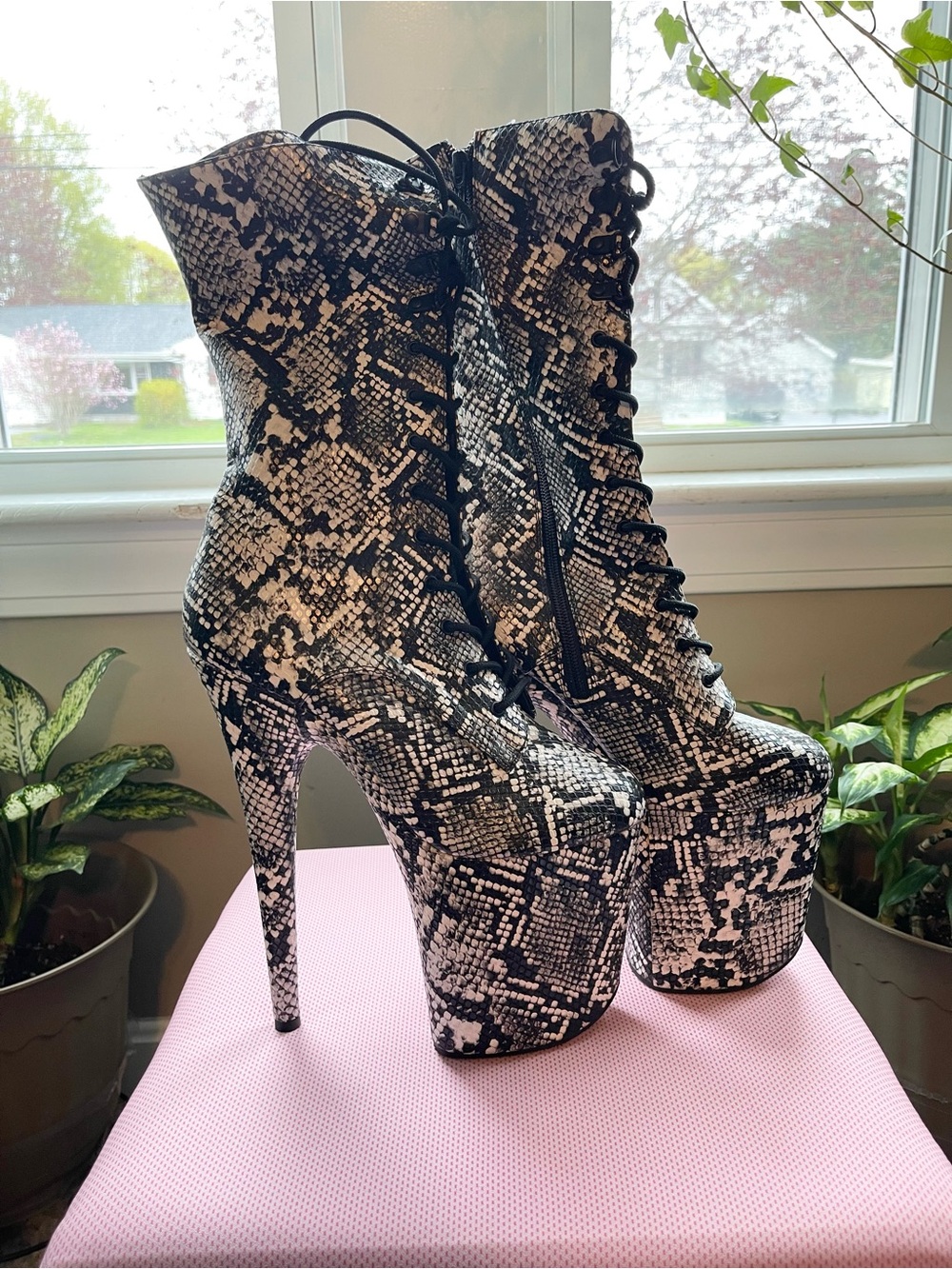 Pleaser Flamingo-1050SP Lace-Up Snake Print Mid Calf Boots (Size 9)